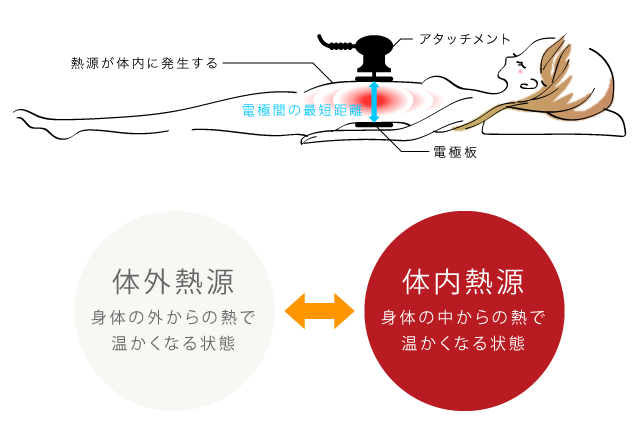 体外熱源と体内熱源